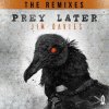 Pochette Jim Davies - Prey Later (Dex Remix) Jim Davies - Prey Later (Dex Remix)