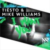 Pochette Tiesto & Mike Williams - I Want You Tiesto & Mike Williams - I Want You