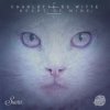 Pochette Charlotte De Witte - Heart of Mine Charlotte De Witte - Heart of Mine