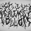 Pochette Salem - Hollow Salem - Hollow