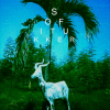 Pochette Sofi Tukker - Drinkee (Mahmut Orhan Remix) Sofi Tukker - Drinkee (Mahmut Orhan Remix)