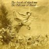 Pochette The Falcons of Haunt - The Book of Shadows (Phase 4) The Falcons of Haunt - The Book of Shadows (Phase 4)