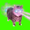 Pochette XertXetin - OIIA OIIA COSMIC CAT (Slowed) XertXetin - OIIA OIIA COSMIC CAT (Slowed)