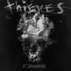 Pochette Limp Bizkit - Thieves Limp Bizkit - Thieves