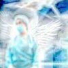 Pochette Yabujin - SURGEON DOGMA Yabujin - SURGEON DOGMA