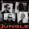 Pochette Sigma & Stefflon Don & Yung Saber - Jungle Sigma & Stefflon Don & Yung Saber - Jungle