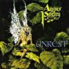 Pochette Agnes Poetry - ID hide away (remix) Agnes Poetry - ID hide away (remix)