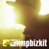 Pochette Limp Bizkit - Lightz Limp Bizkit - Lightz