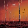 Pochette Muse - New Born (XX Anniversary RemiXX) Muse - New Born (XX Anniversary RemiXX)