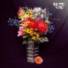 Pochette Rocco Vice - Warum gehst du nicht Rocco Vice - Warum gehst du nicht
