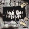 Pochette In Strict Confidence - Burning Angel (Remix) In Strict Confidence - Burning Angel (Remix)