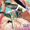 Pochette SZA - Castles SZA - Castles