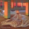 Pochette Polar Son - Youth Polar Son - Youth