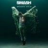 Pochette Smash Into Pieces - Broken Halo Smash Into Pieces - Broken Halo