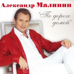 Pochette Александр Малинин - Поручик Голицын