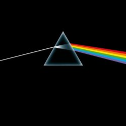 Pochette Pink Floyd - Brain Damage