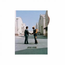 Pochette Pink Floyd - Shine On You Crazy Diamond (Part 1-5)