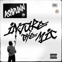 Pochette Ashdunn - Injure The Mic