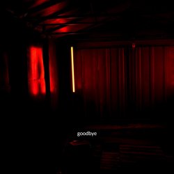 Pochette Baryk - goodbye