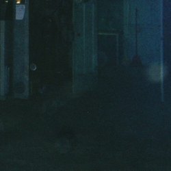 Pochette Burial - Shell of Light (Shlohmo Remix)