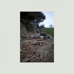 Pochette Mac DeMarco - Chicago 2