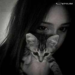 Pochette AYSELU feat. Anjee & Lextone - Останови 2.0