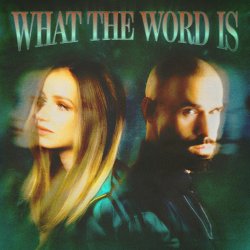 Pochette Jackie Hollander & Malóne & Baby Bash - What The Word Is