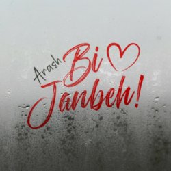 Pochette Arash - Bi Janbeh