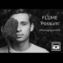 Pochette Flume - Possum