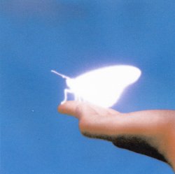 Pochette Shallou - Glimmer