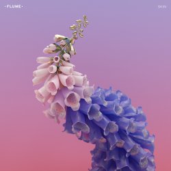 Pochette Flume - Skin LP Preview
