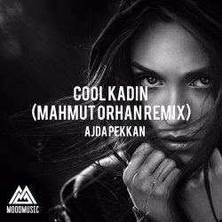 Pochette Ajda Pekkan - Cool Kadın (Mahmut Orhan Remix)