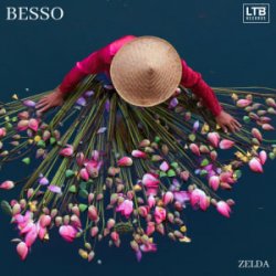 Pochette Besso - Zelda