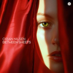 Pochette Orjan Nilsen - Between The Rays