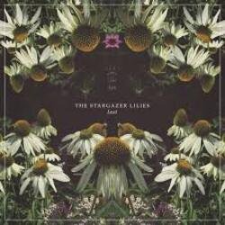 Pochette Lost World - Stargazer