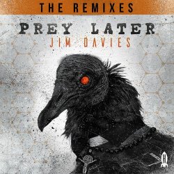 Pochette Jim Davies - Prey Later (Dex Remix)