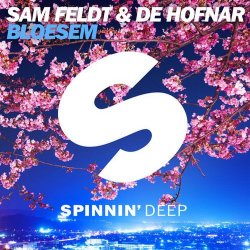 Pochette Sam Feldt & De Hofnar - Bloesem
