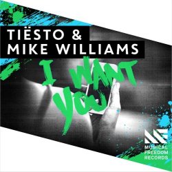 Pochette Tiesto & Mike Williams - I Want You (Extended Mix)