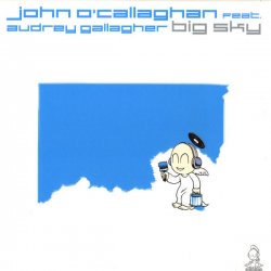 Pochette John O'Callaghan feat. Audrey Gallagher - Big Sky