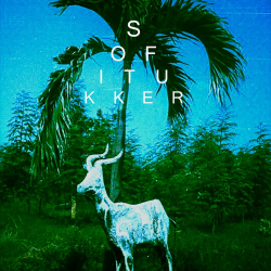 Pochette Sofi Tukker - Drinkee (Mahmut Orhan Remix)