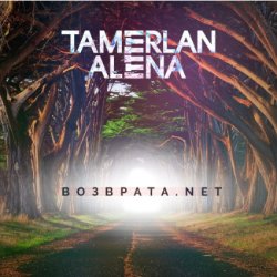 Pochette Тамерлан и Алёна - Возврата. NET