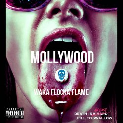 Pochette Waka Flocka Flame - O Let's Do It