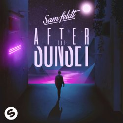 Pochette Sam Feldt Feat. ROOKIES - Alive (The Edge) (DJ Licious Extended Remix)