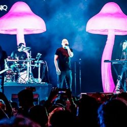 Pochette Infected Mushroom - Mixed by G Light live mix from Exotica Gold
