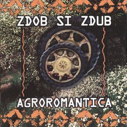 Pochette Zdob și Zdub - Tempo
