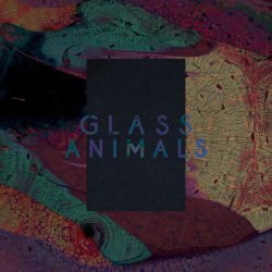 Pochette Glass Animals - Black Mambo