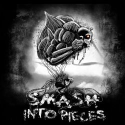 Pochette Smash Into Pieces - Rockstar