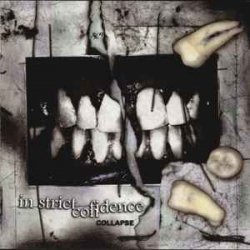 Pochette In Strict Confidence - Heaven's Help (Life - Part III)