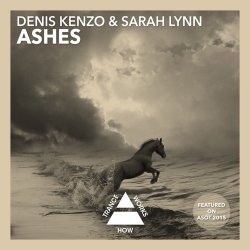 Pochette Denis Kenzo & Sarah Lynn - Ashes