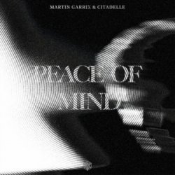Pochette Martin Garrix & Citadelle - Peace Of Mind
